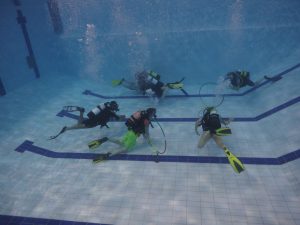 Divers in swimming pool