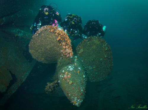 The propellers on the Audacious